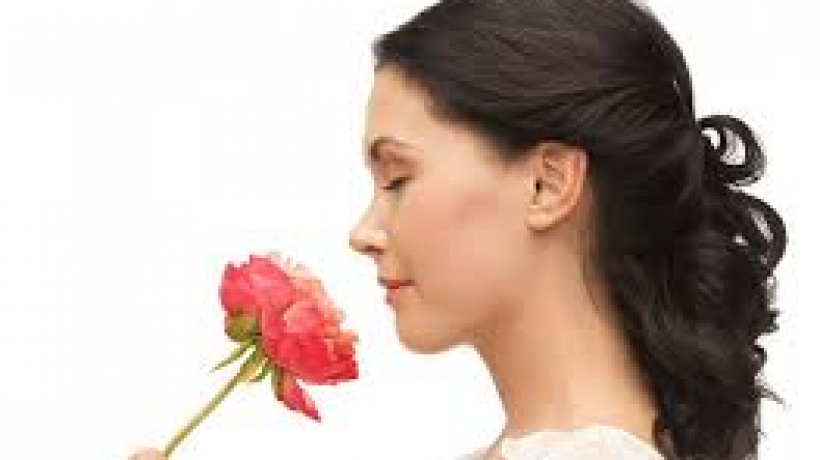 Do you know your nose?