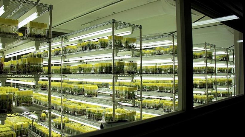 Why you need cold room shelving in your business