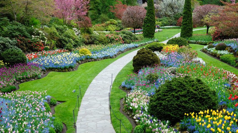 10 useful tips and a bit strange for a perfect garden