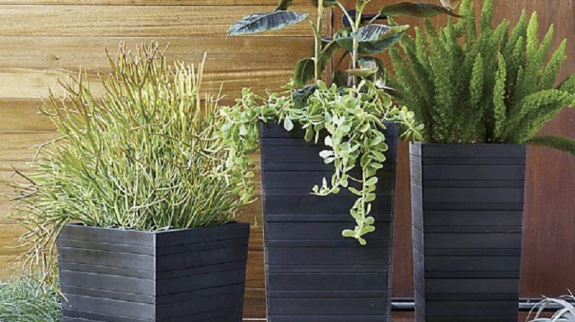 Some Ideas for Using Plastic Planter Boxes in the Interior