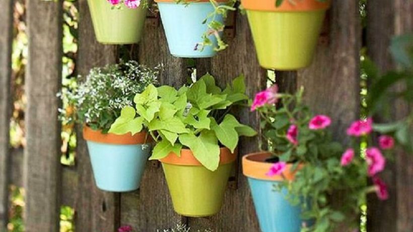 The Most Colorful Planters in Your Garden