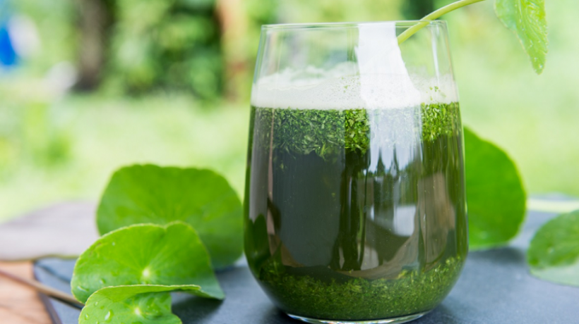 Centella Asiatica: all the properties and health benefits