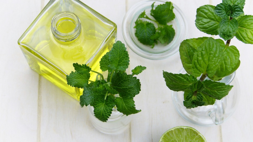 How Essential Oils Help Eliminate Parasites