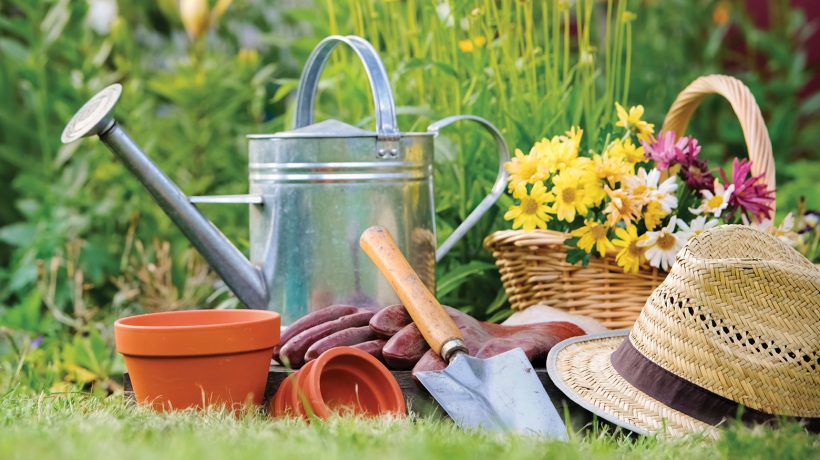 Spring: 10 tips for the garden
