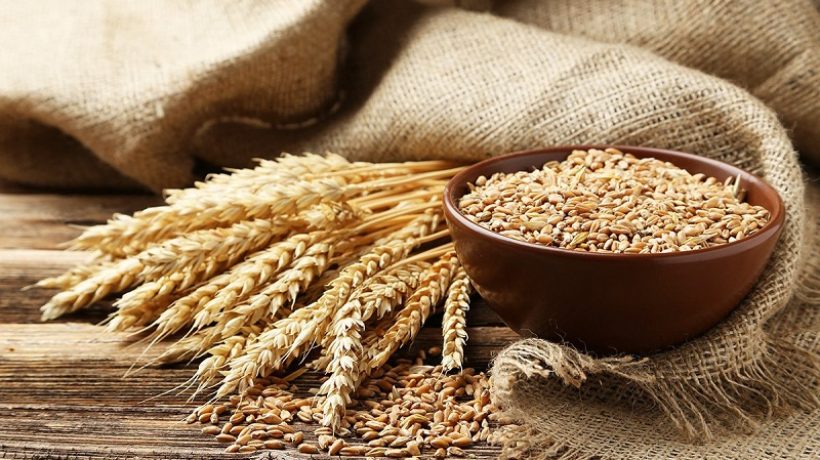 Properties and benefits of wheat