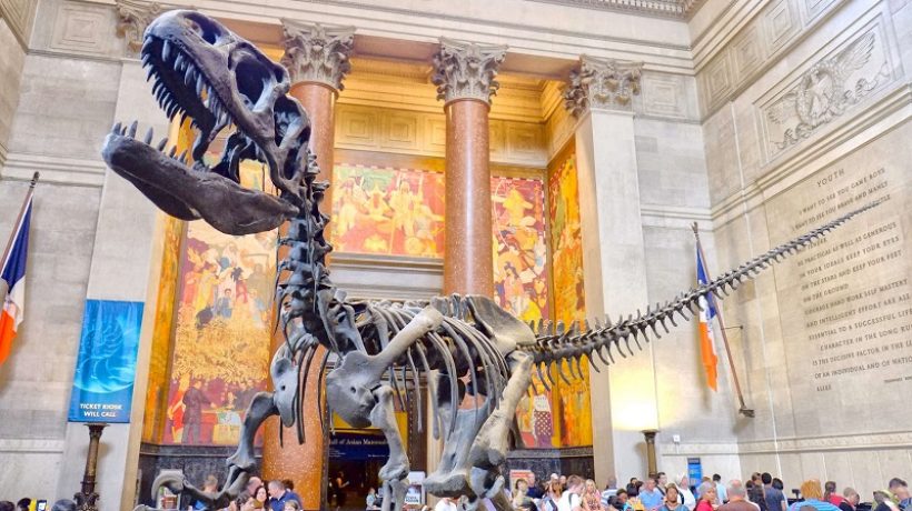 The 6 best museums in New York