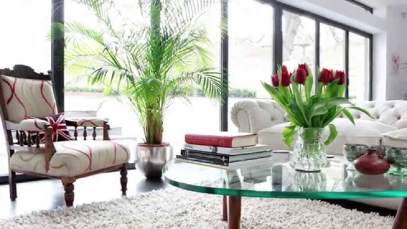 tips to successfully decorate your living room