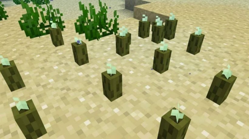 How to get sea pickles in Minecraft?