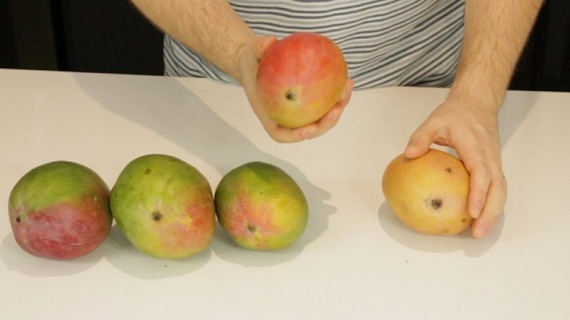 How to tell if a mango is ripe?