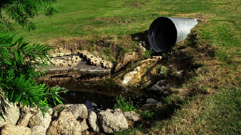 Stuck Drains: The Growing Ground For Diseases