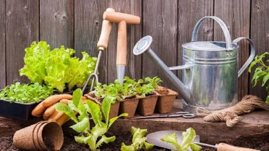 Get Started as a Gardener