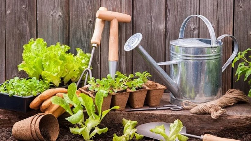 How Do I Get Started as a Gardener