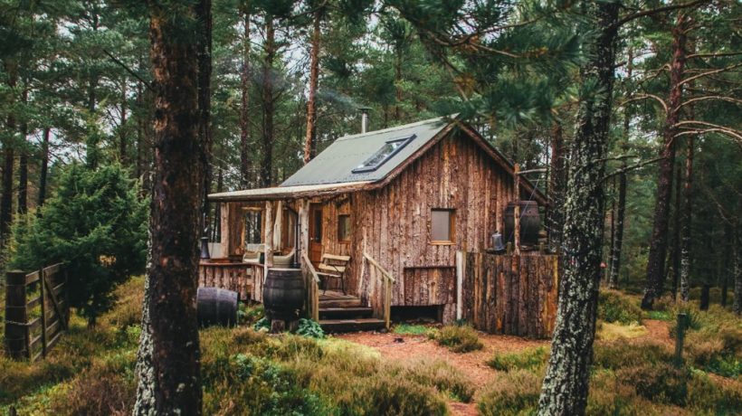 The beauty and sustainability of building with Wood.