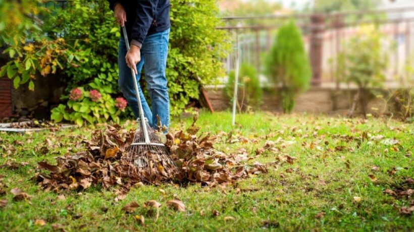 Fall Lawn Prep Guide Chicago: Expert Tips to Revive Your Grass Before Winter Hits