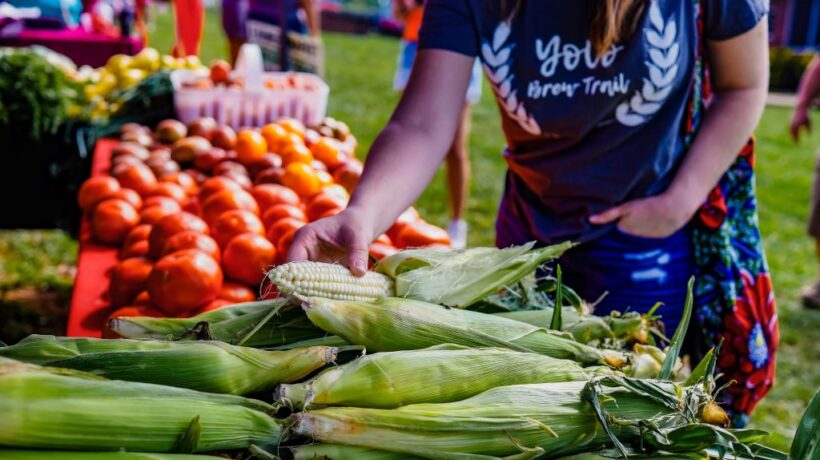 Discover the Freshest Bites: Top Seasonal Farmers Markets and Local Food Events Near You