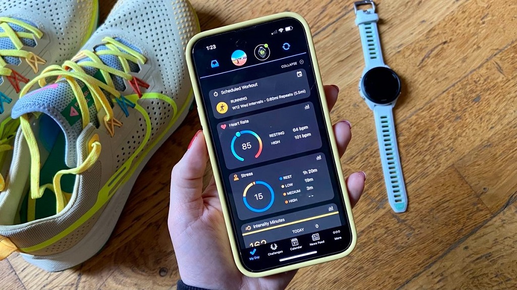 How do I update my Garmin watch firmware
