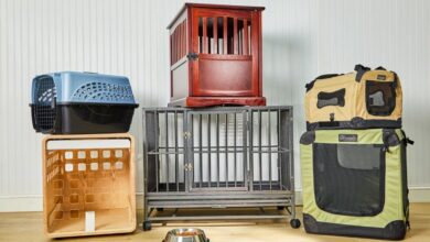 Collapsible dog crate with portable design, ideal for pet comfort in 2025