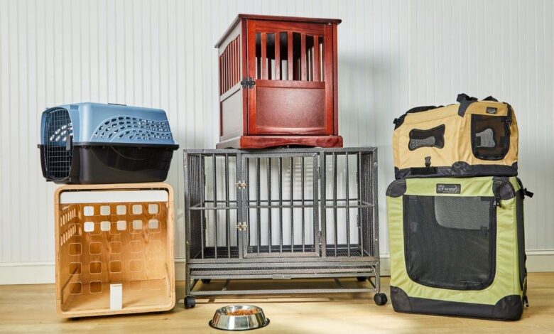 Collapsible dog crate with portable design, ideal for pet comfort in 2025