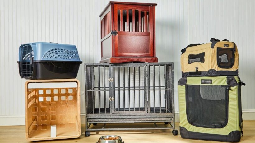 Best Collapsible Dog Crates of 2025: Top Picks for Portable Pet Comfort