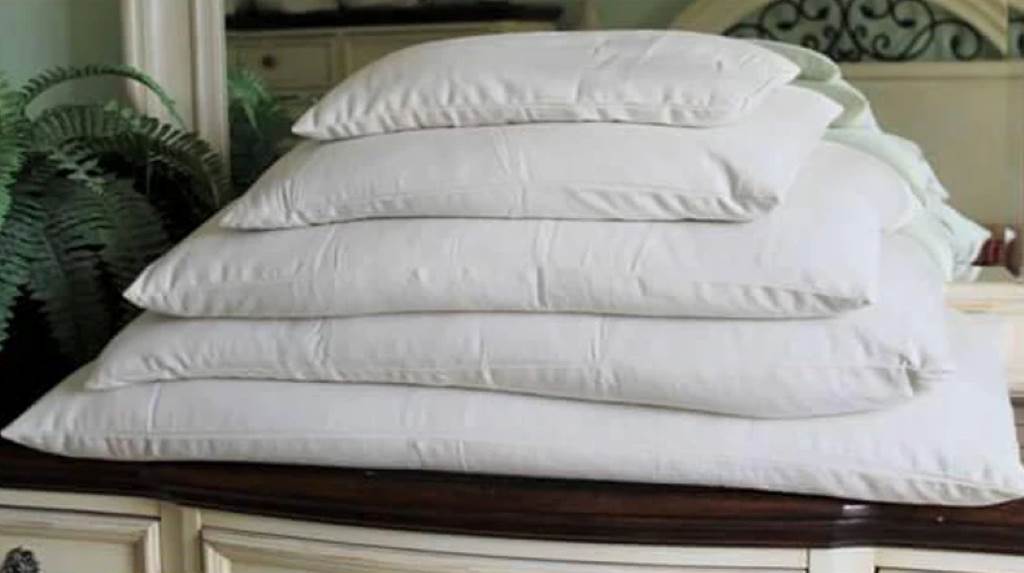 dusty traditional pillow versus clean hypoallergenic buckwheat pillow interior